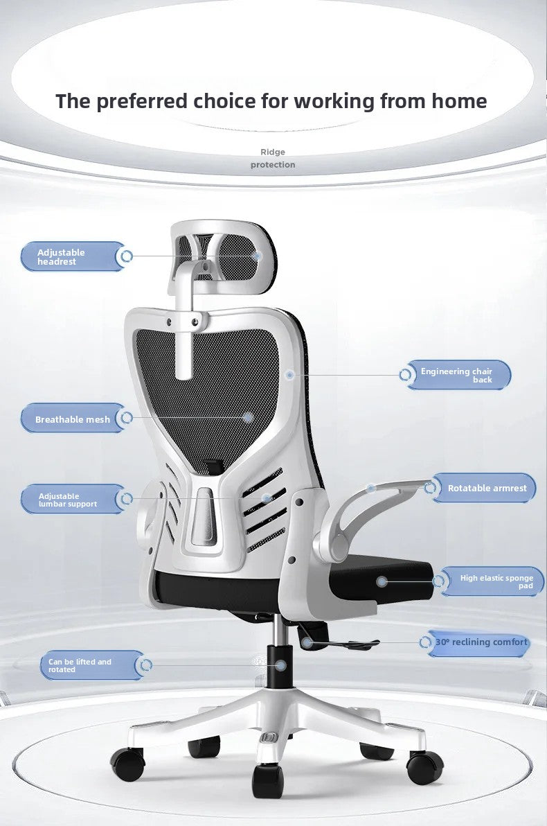 Silla de oficina ergonómica para ordenador, estudio, mahjong, conferencias y dormitorio
