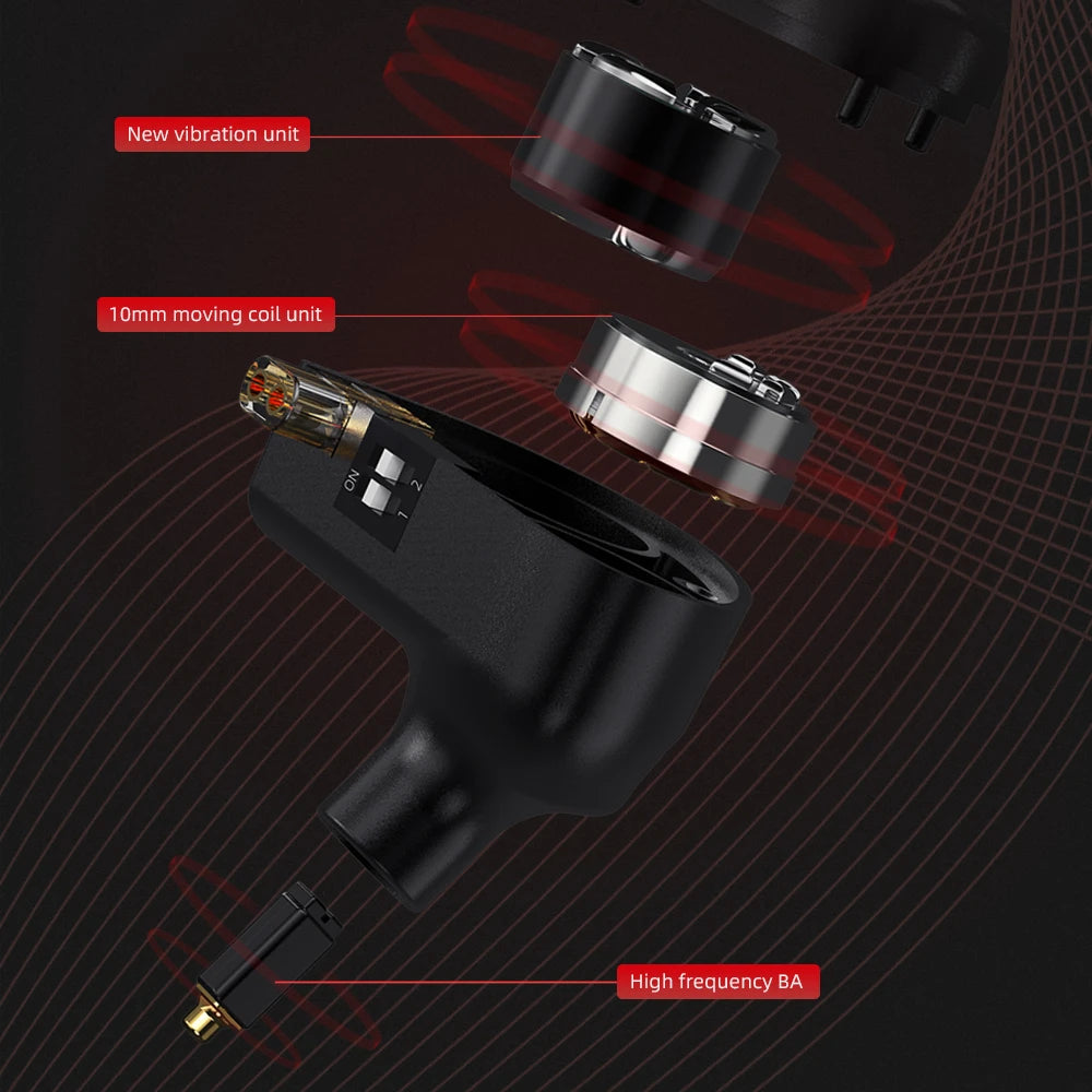 CVJ Assassin Earphones 1BA+1DD+1Vibration Switch Adjustable Gaming E-sports In-Ear 3.5mm&Type-C Hifi Headphones