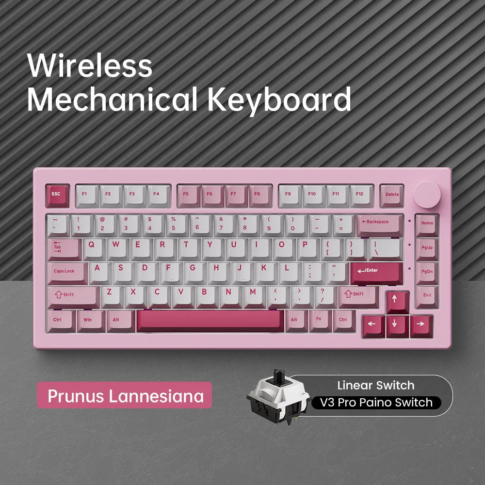Akko 5075 V3 Keyboard 75% ANSI-US With Volume Hot-swappable RGB USB Type-C/2.4g&BT5.0 Tri-mode Custom Gaming Mechanical Keyboard