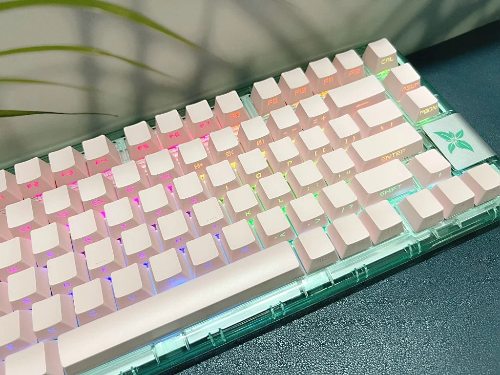 131 Tasten seitlich gravierte, hintergrundbeleuchtete Keycaps für mechanische Tastaturen mit Cherry MX Switches, OEM-Profil, ABS-Keycaps, individuelle Tastenkappen für DIY
