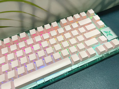131 Tasten seitlich gravierte, hintergrundbeleuchtete Keycaps für mechanische Tastaturen mit Cherry MX Switches, OEM-Profil, ABS-Keycaps, individuelle Tastenkappen für DIY
