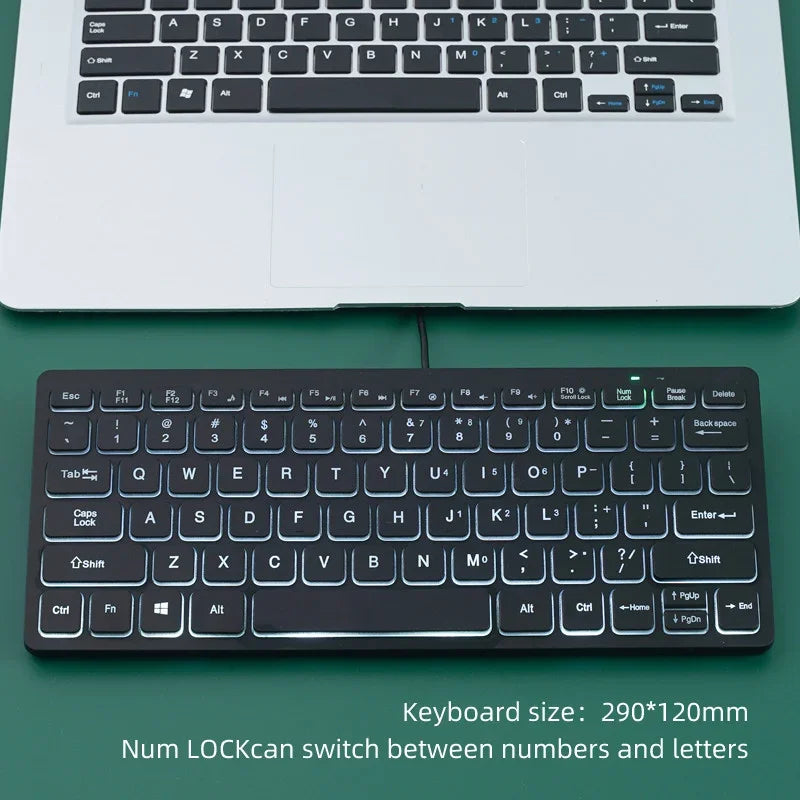 APAYADO K1000 Teclado mini con cable - Diseño compacto y portátil, Plug-and-Play, ideal para portátiles/ordenadores, resistente a derrames