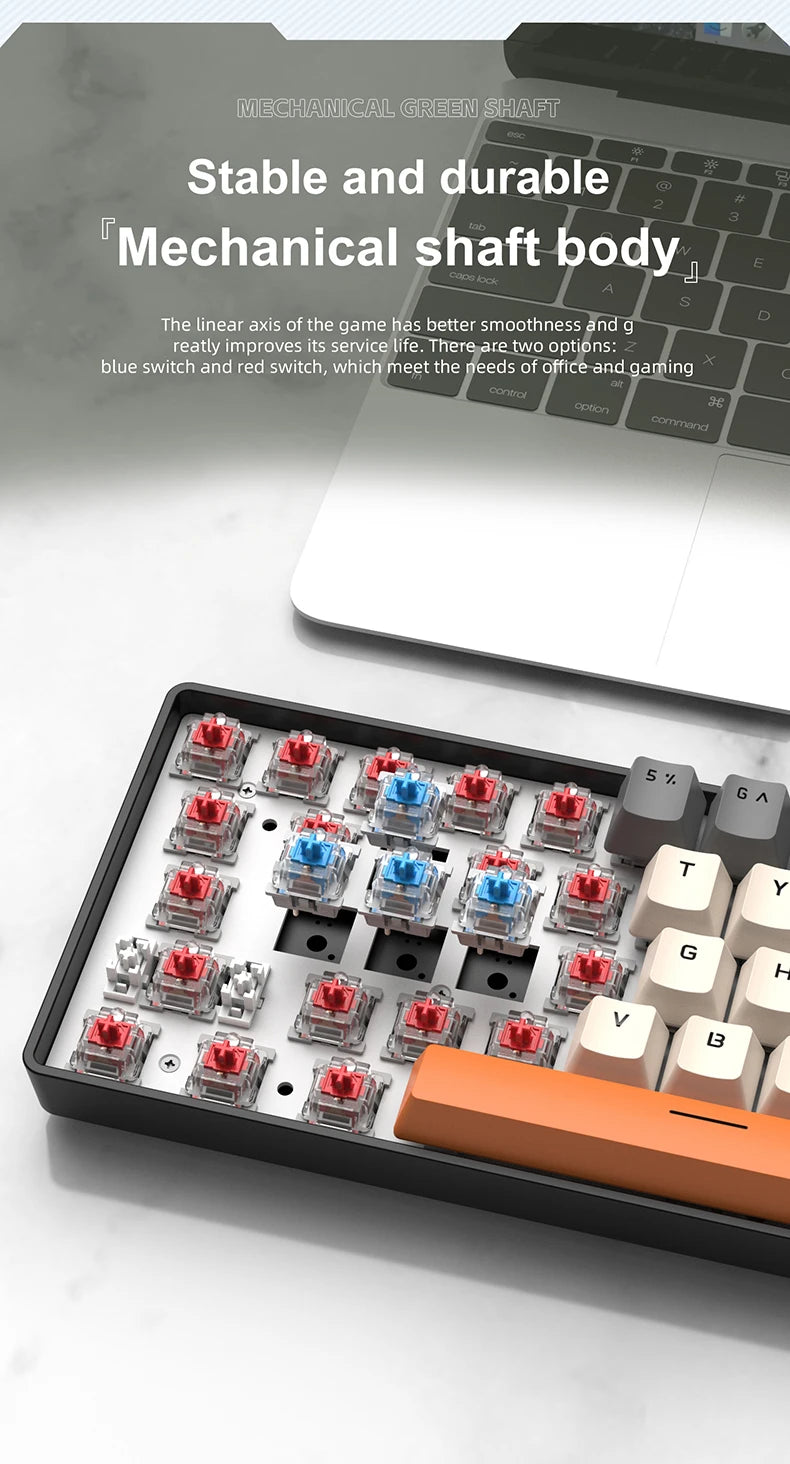 60% Portable Mini Keyboard APAYADO K61 Mechanical Keyboard Wired, 61 Keys RGB Black,White, Red/Blue Switch for Gaming