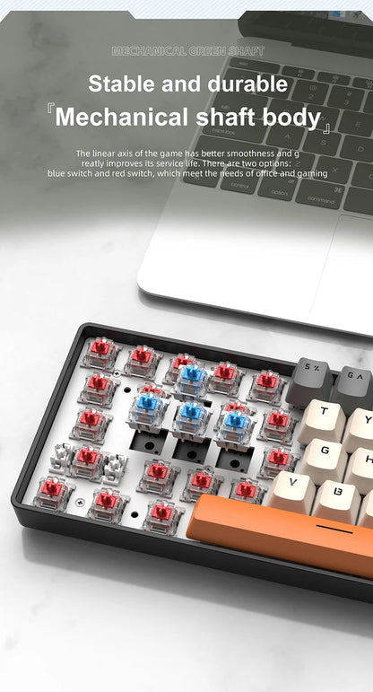 60% Portable Mini Keyboard APAYADO K61 Mechanical Keyboard Wired, 61 Keys RGB Black,White, Red/Blue Switch for Gaming