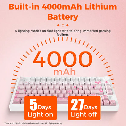 DAREU Tri-mode Gasket Mechanical Keyboard N-Key Rollover Anti-ghosting RGB Backlight Dream switch with Multi Media Button