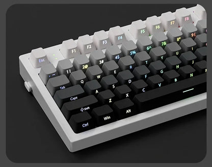 2025 Original Daylight Keycaps PBT Translucent, Side-engraved OEM 136 Keys, Customized To Fit 60/84/98/108 Mechanical Keyboards.
