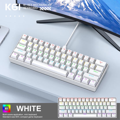 60% Portable Mini Keyboard APAYADO K61 Mechanical Keyboard Wired, 61 Keys RGB Black,White, Red/Blue Switch for Gaming