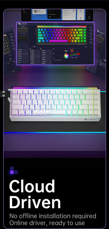SMAILWOLF SK11 68HE Magnetic Gaming Keyboard Mechanical Wired Professional Gaming 0.01mm Quick Trigger 8KHz 0.25ms RGB Lighting