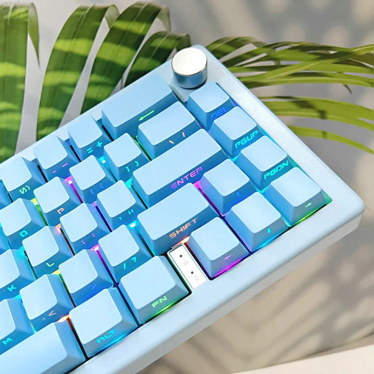 131 Tasten seitlich gravierte, hintergrundbeleuchtete Keycaps für mechanische Tastaturen mit Cherry MX Switches, OEM-Profil, ABS-Keycaps, individuelle Tastenkappen für DIY
